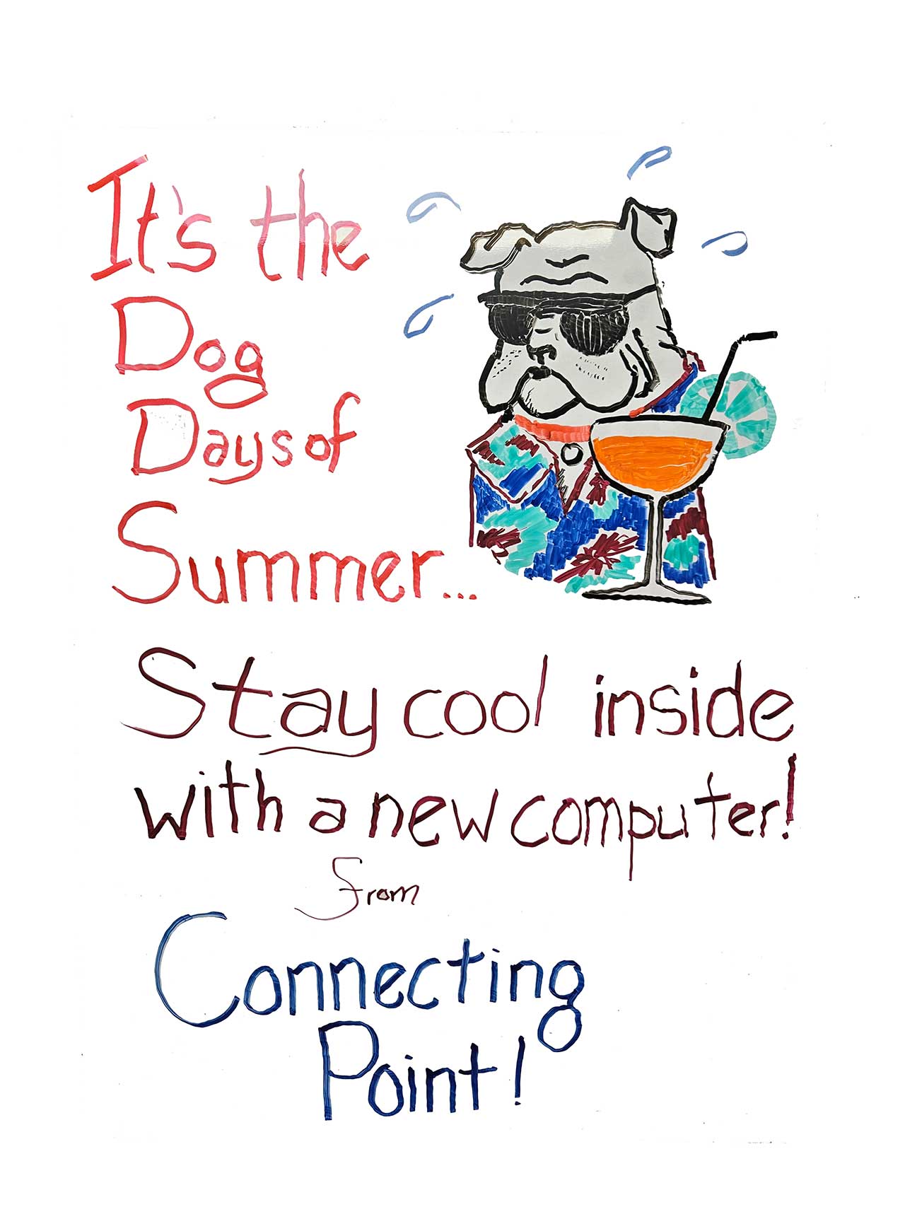 dog days of summer sale