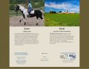 G4 Equine & Just Out of Town Promotions Website Design